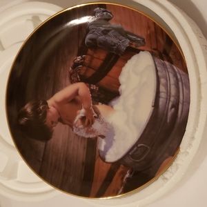 Danbury Mint plate 8 inch Clean as a Whistle plate